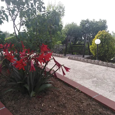 Dolce Risveglio Bed & Breakfast