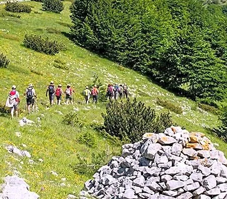 Dolce Risveglio 3*